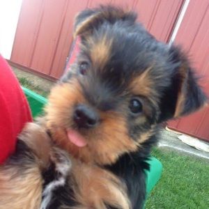 Meet your Posher, Mallory